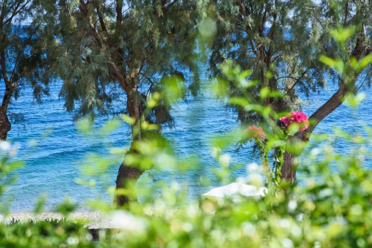 Aliki Studios Paralia Agias Foteinis Eksteriør bilde